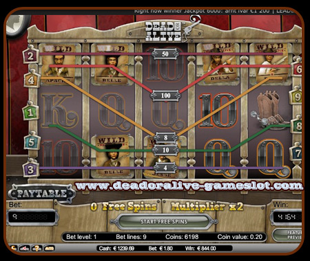 dead or alive bonus round game win 844 euro