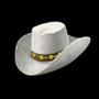 cowboy hat